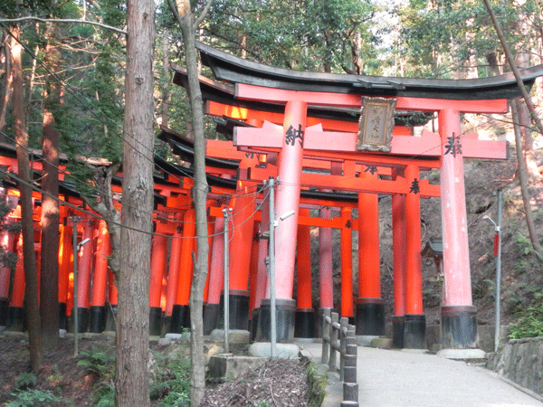 Kyoto Temples and Shrines